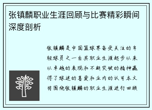 张镇麟职业生涯回顾与比赛精彩瞬间深度剖析