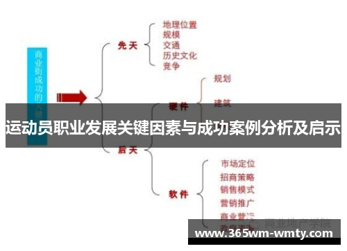 运动员职业发展关键因素与成功案例分析及启示