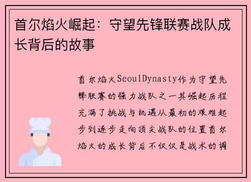 首尔焰火崛起：守望先锋联赛战队成长背后的故事